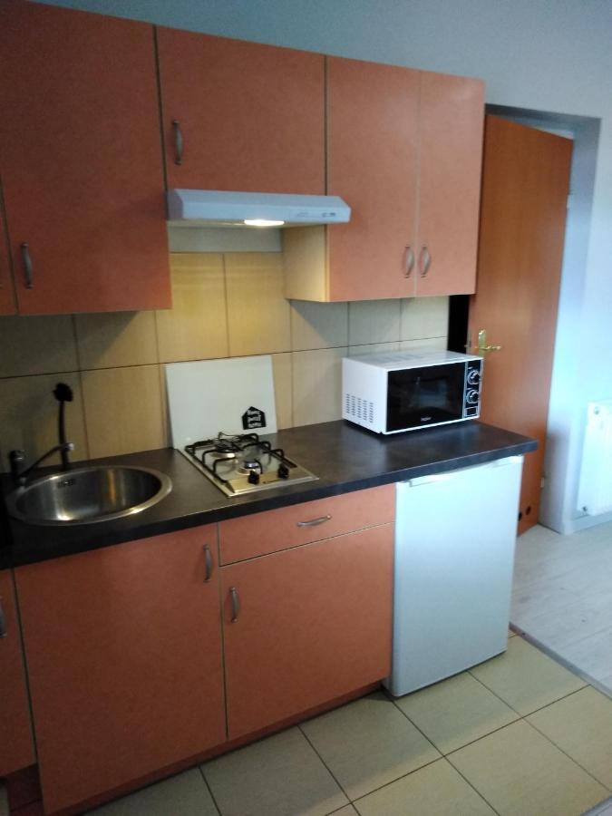 Mizerowka Guest House Kudowa-Zdroj Bagian luar foto